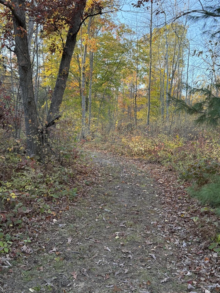 V/L Maple Hill Road, Howard City, MI, 49329