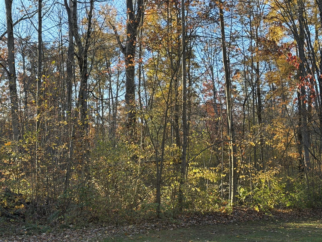 V/L Maple Hill Road, Howard City, MI, 49329