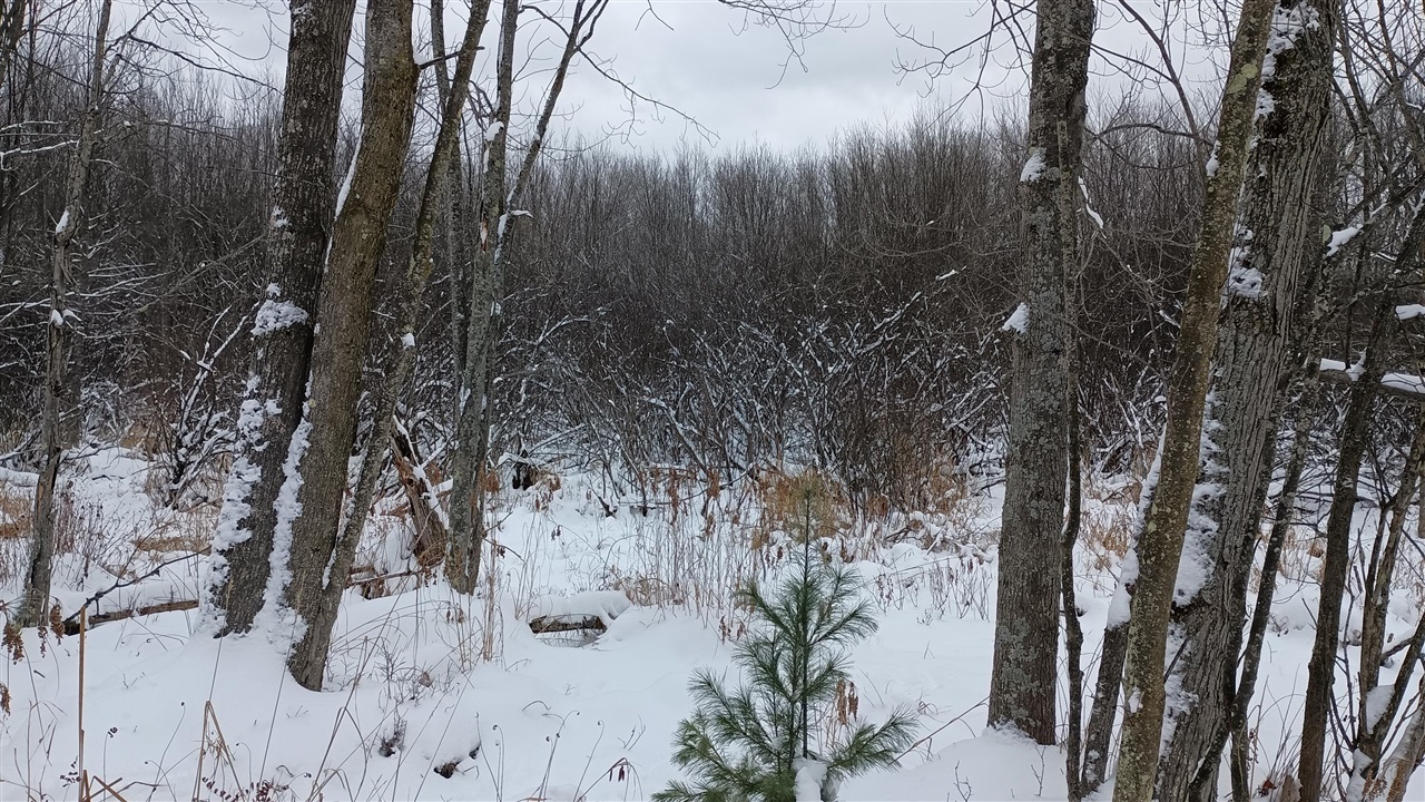 V/L 118A E Townline Road, Free Soil, MI, 49411