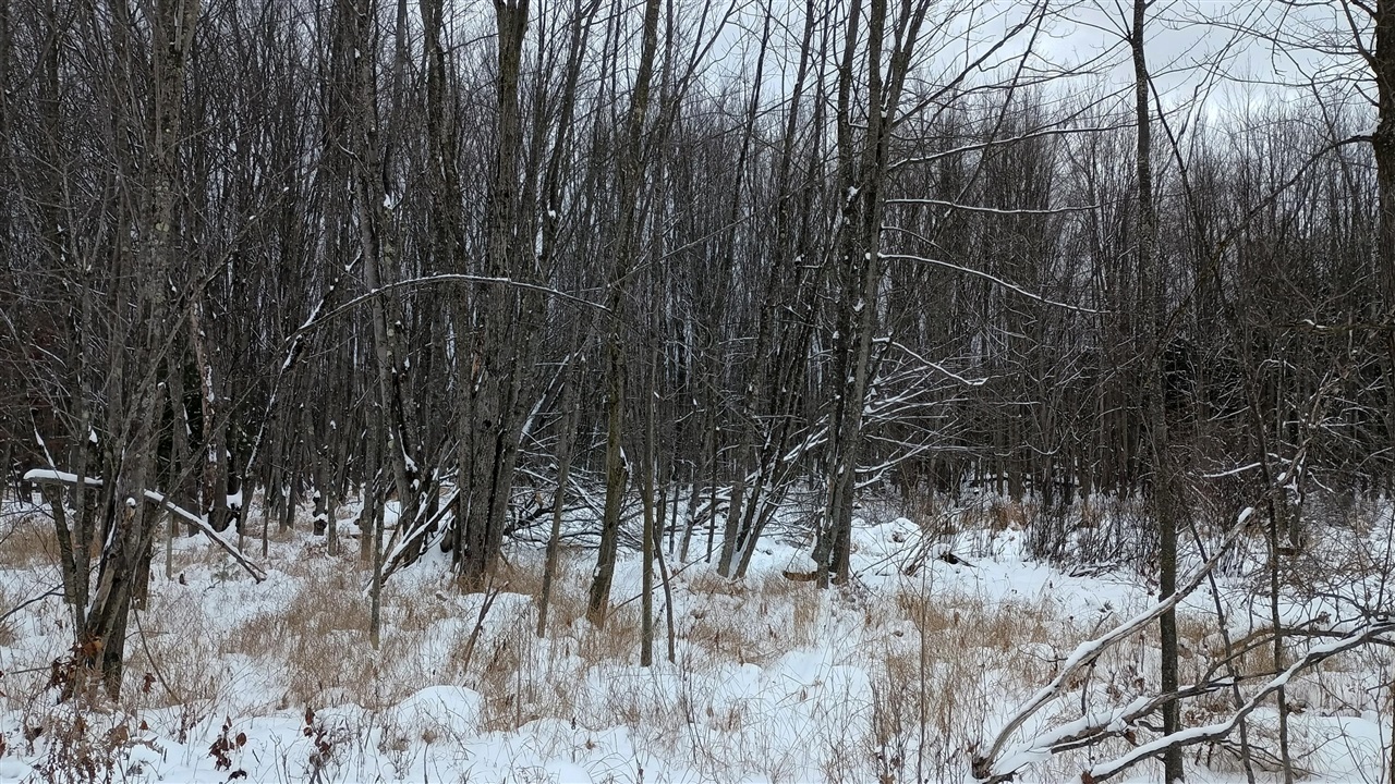 V/L 118A E Townline Road, Free Soil, MI, 49411