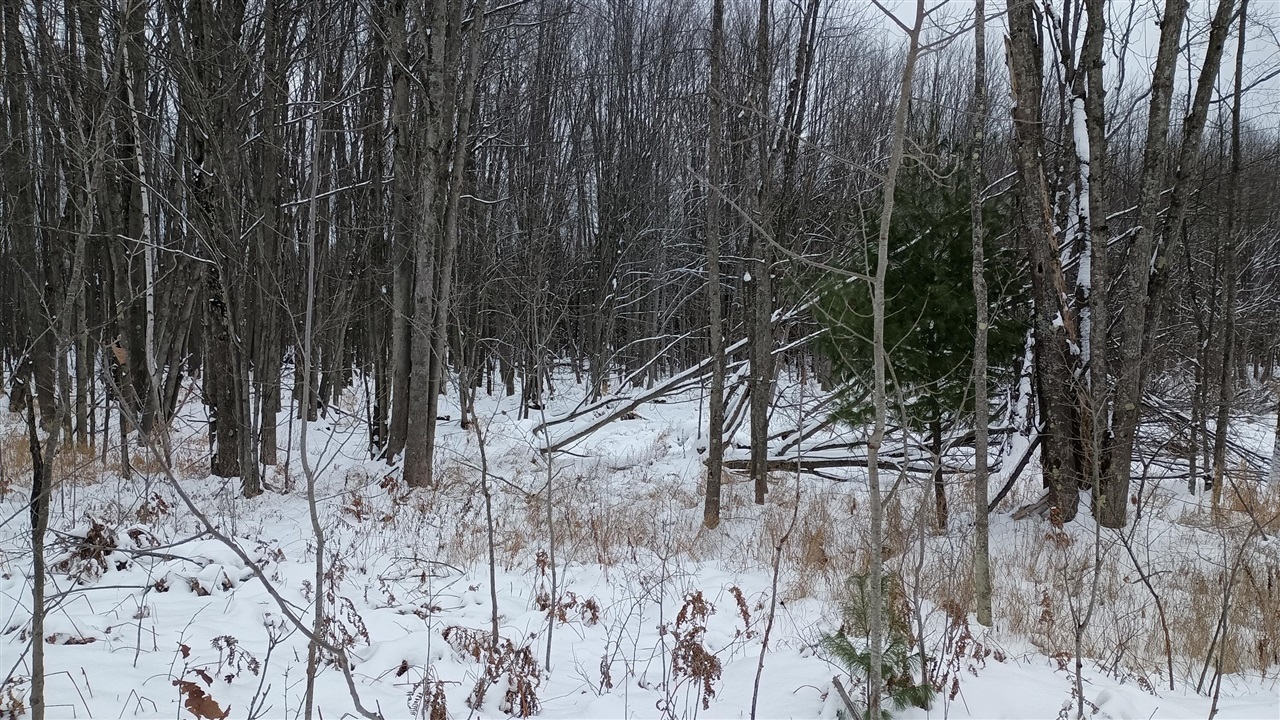 V/L 118A E Townline Road, Free Soil, MI, 49411