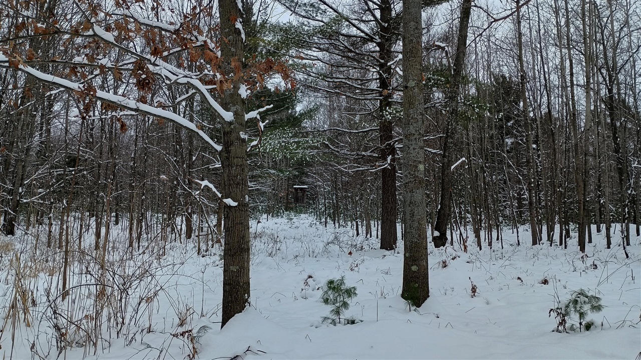 V/L 118A E Townline Road, Free Soil, MI, 49411