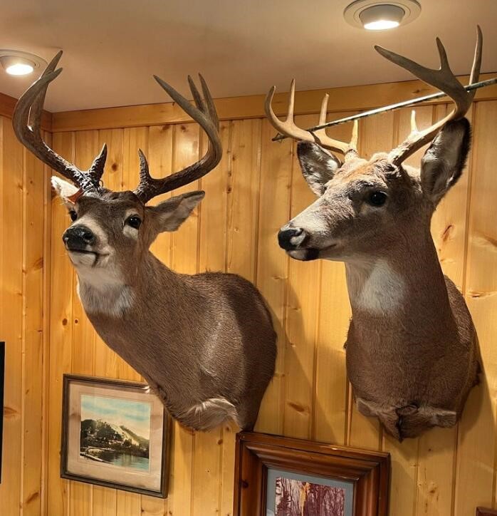 V/L 118A E Townline Road, Free Soil, MI, 49411