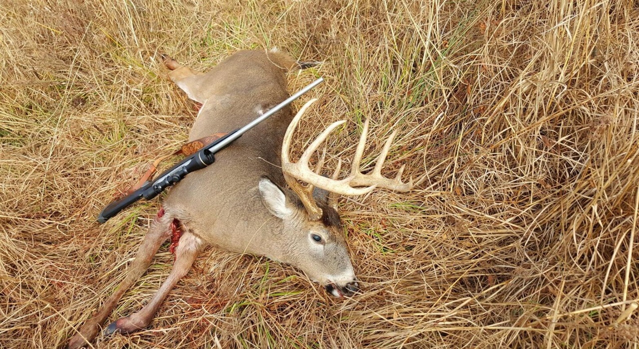 V/L 118A E Townline Road, Free Soil, MI, 49411