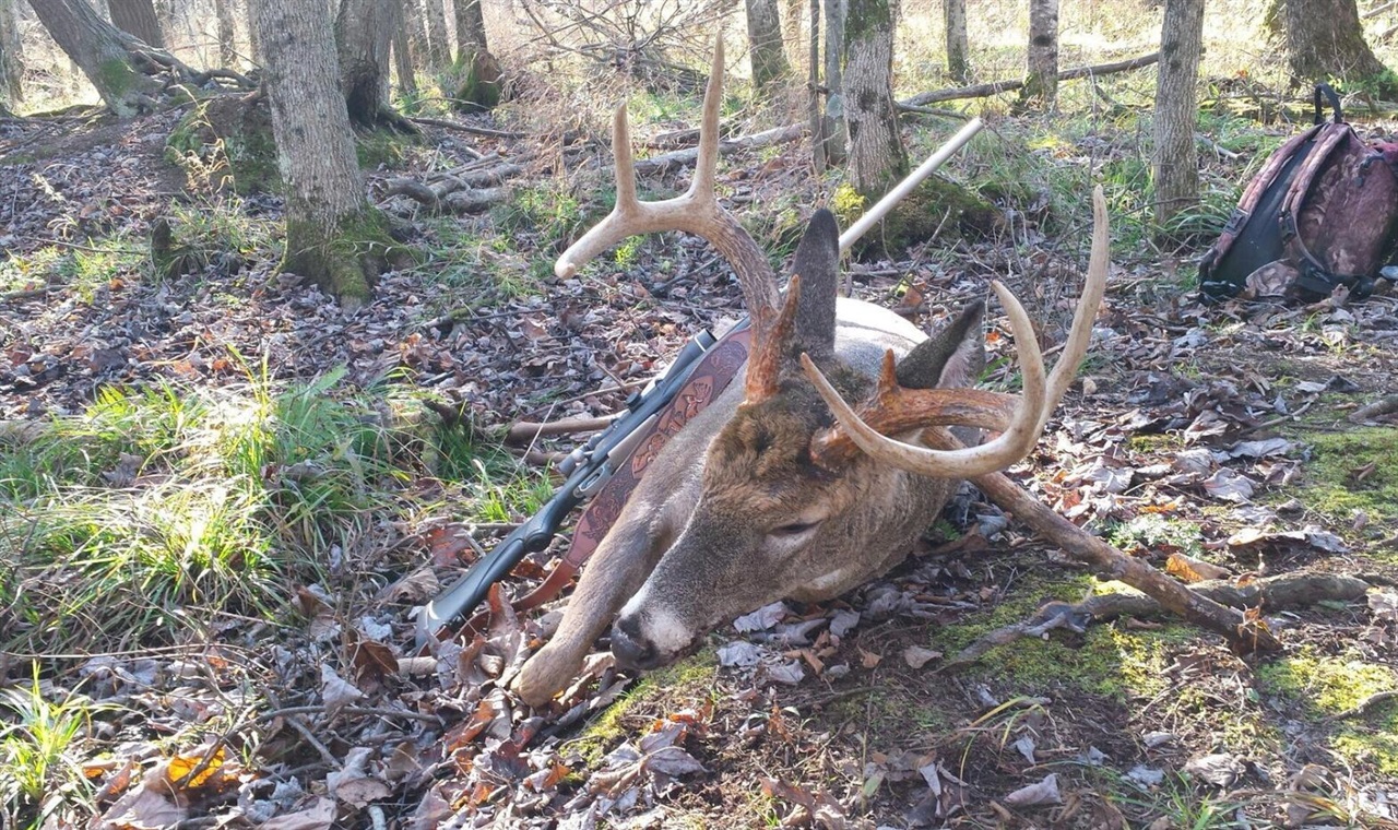 V/L 118A E Townline Road, Free Soil, MI, 49411