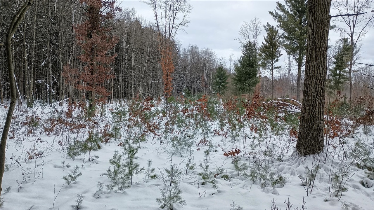 Homes for sale in Free Soil, MI | V/L 118A Townline Rd, Free Soil, MI 49411 | MLS# 70506896