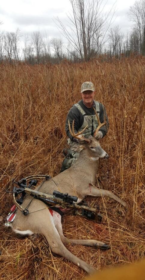 V/L 118A E Townline Road, Free Soil, MI, 49411