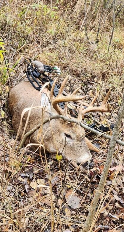 V/L 118A E Townline Road, Free Soil, MI, 49411