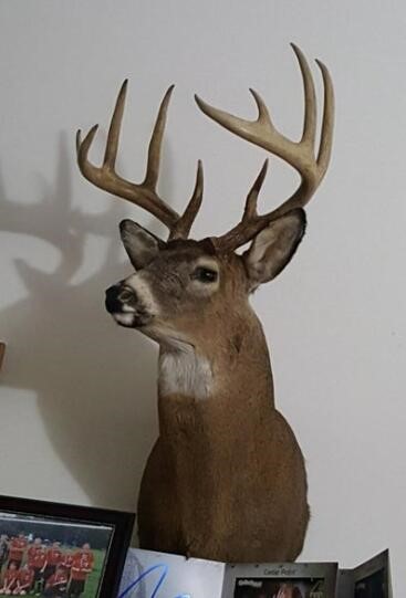 V/L 118A E Townline Road, Free Soil, MI, 49411