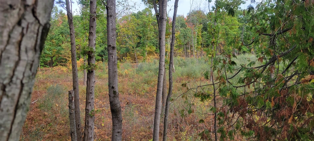 V/L 118A E Townline Road, Free Soil, MI, 49411