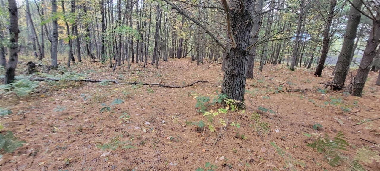 V/L 118A E Townline Road, Free Soil, MI, 49411