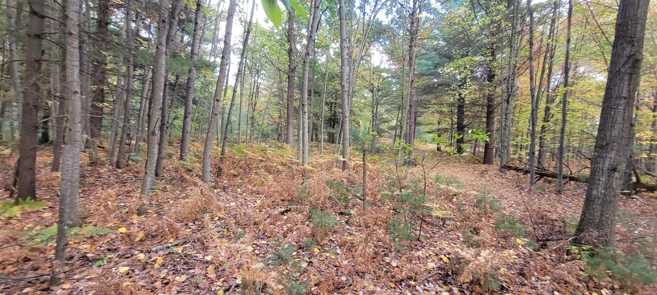 V/L 118A E Townline Road, Free Soil, MI, 49411