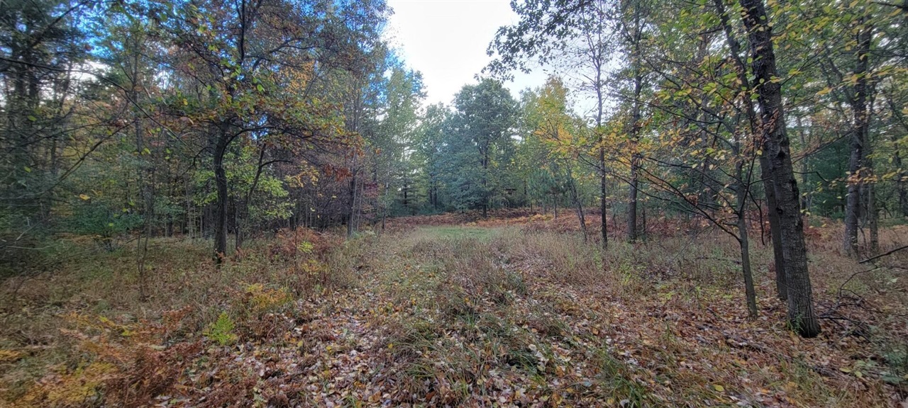 V/L 118A E Townline Road, Free Soil, MI, 49411