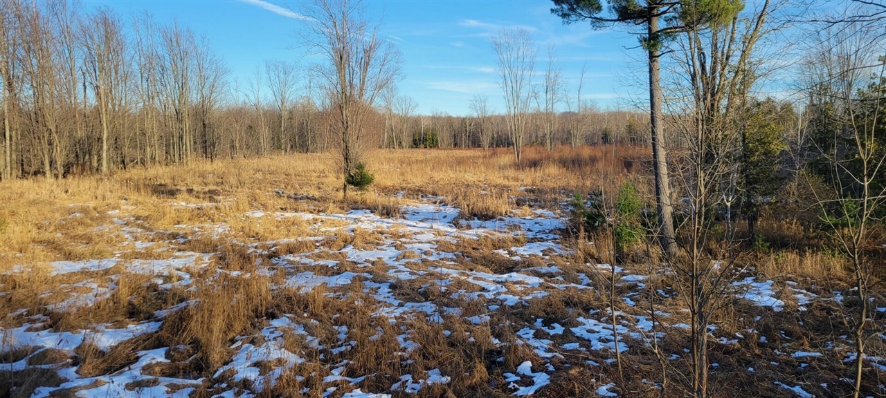 V/L 118A E Townline Road, Free Soil, MI, 49411