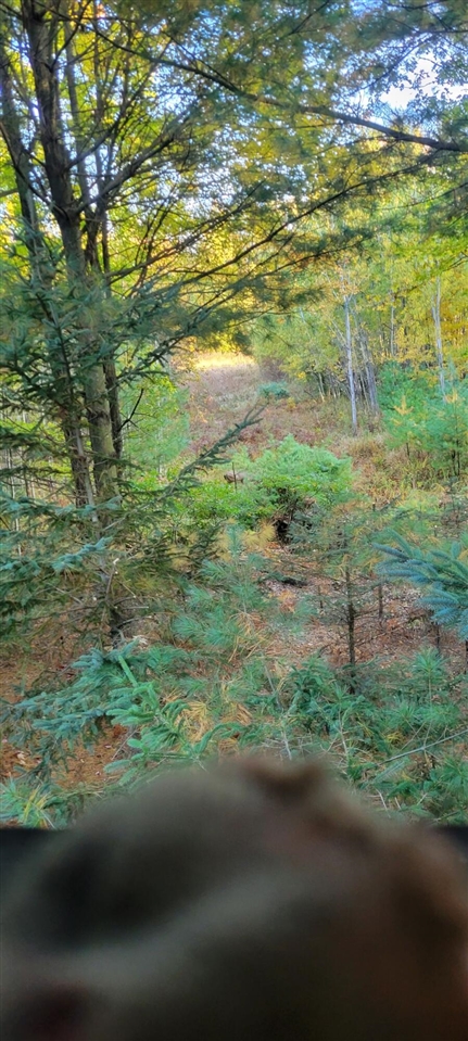 V/L 118A E Townline Road, Free Soil, MI, 49411