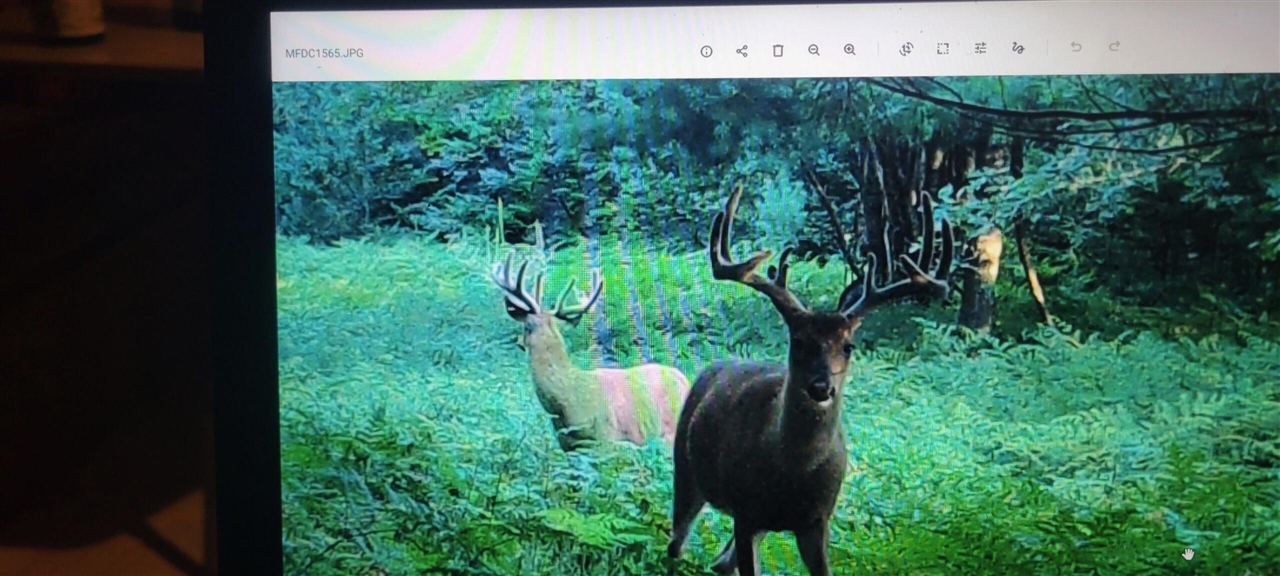 V/L 118A E Townline Road, Free Soil, MI, 49411