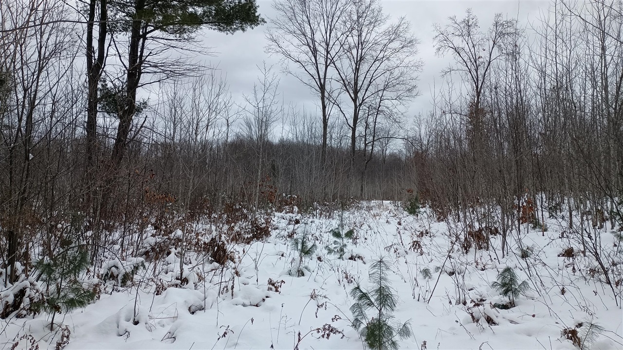 Homes for sale in Free Soil, MI | V/L 118A Townline Rd, Free Soil, MI 49411 | MLS# 70506896