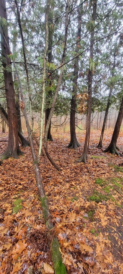 V/L 118A E Townline Road, Free Soil, MI, 49411