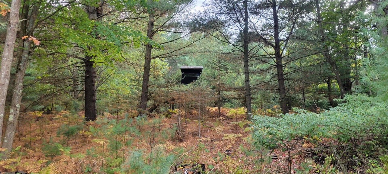 V/L 118A E Townline Road, Free Soil, MI, 49411