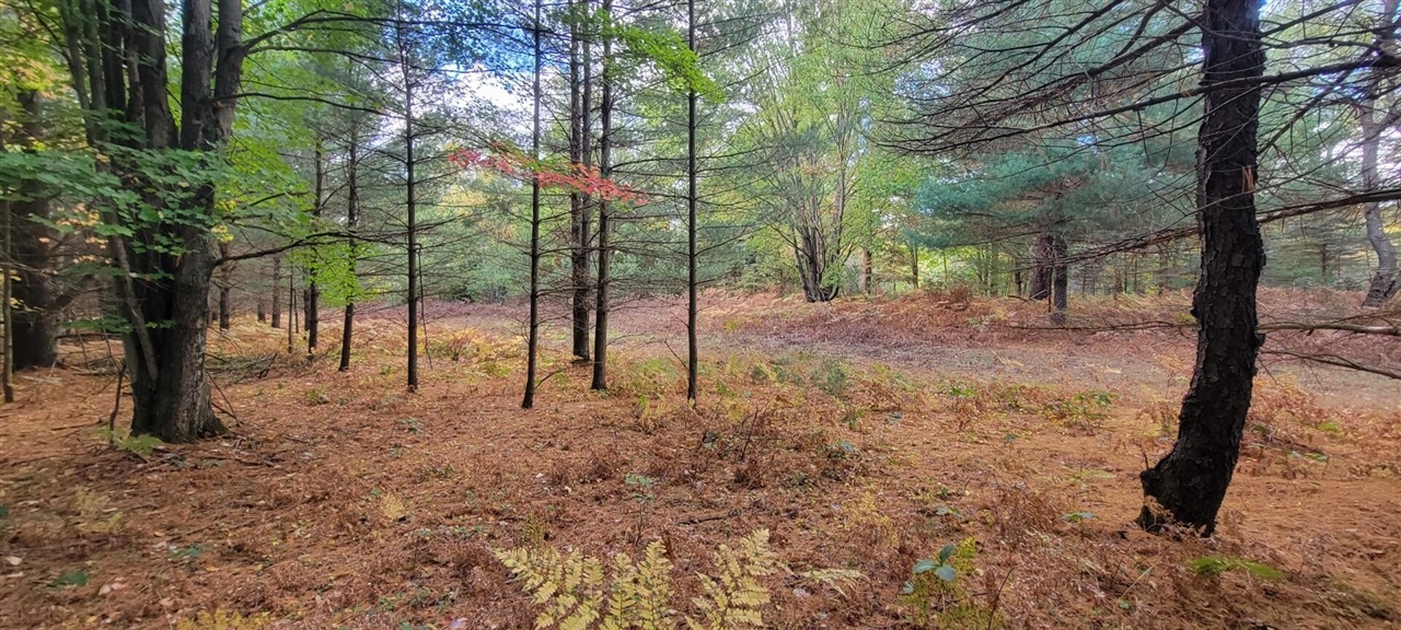 V/L 118A E Townline Road, Free Soil, MI, 49411