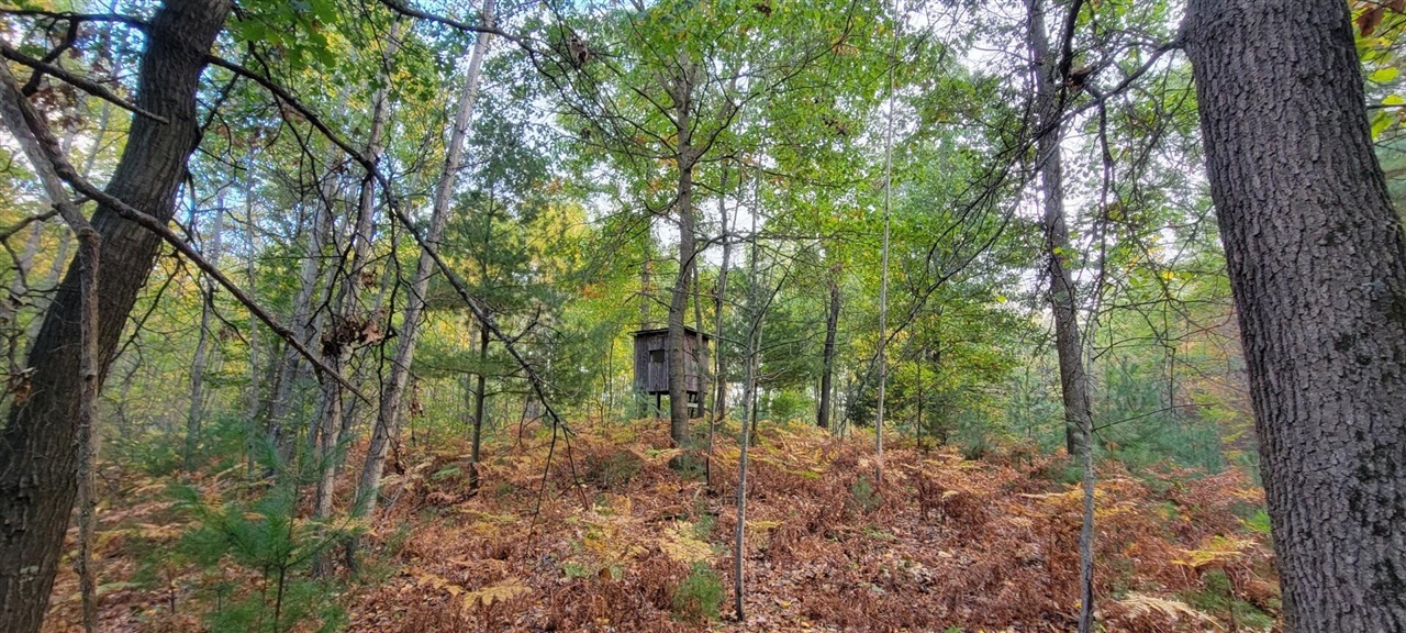 V/L 118A E Townline Road, Free Soil, MI, 49411