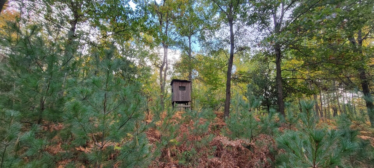 V/L 118A E Townline Road, Free Soil, MI, 49411