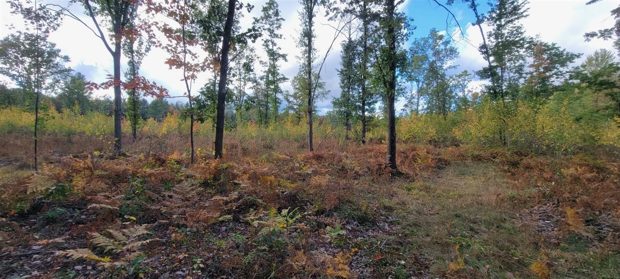 V/L 118A E Townline Road, Free Soil, MI, 49411