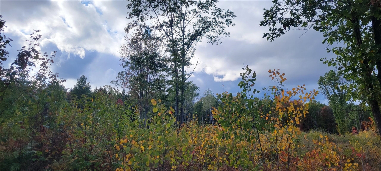 V/L 118A E Townline Road, Free Soil, MI, 49411