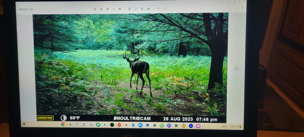 V/L 118A E Townline Road, Free Soil, MI, 49411