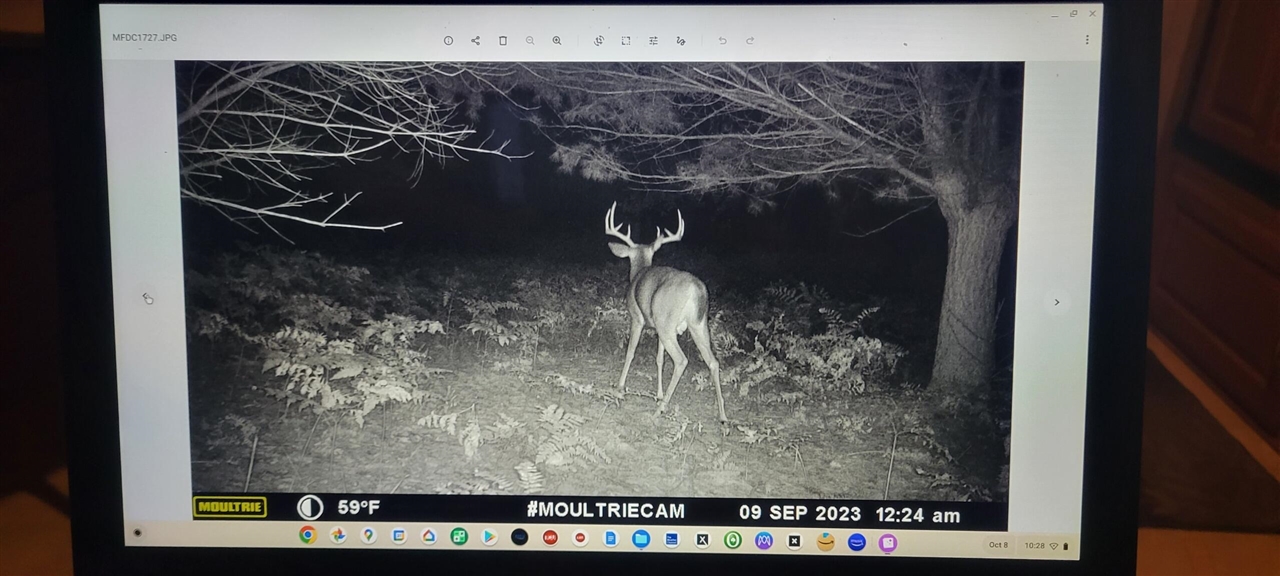 V/L 118A E Townline Road, Free Soil, MI, 49411