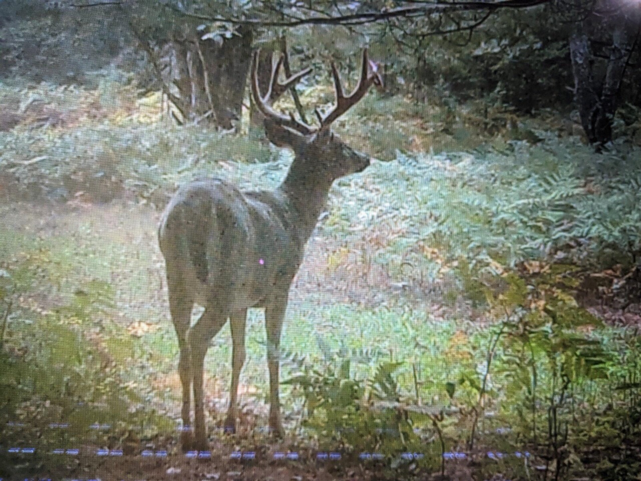 V/L 118A E Townline Road, Free Soil, MI, 49411