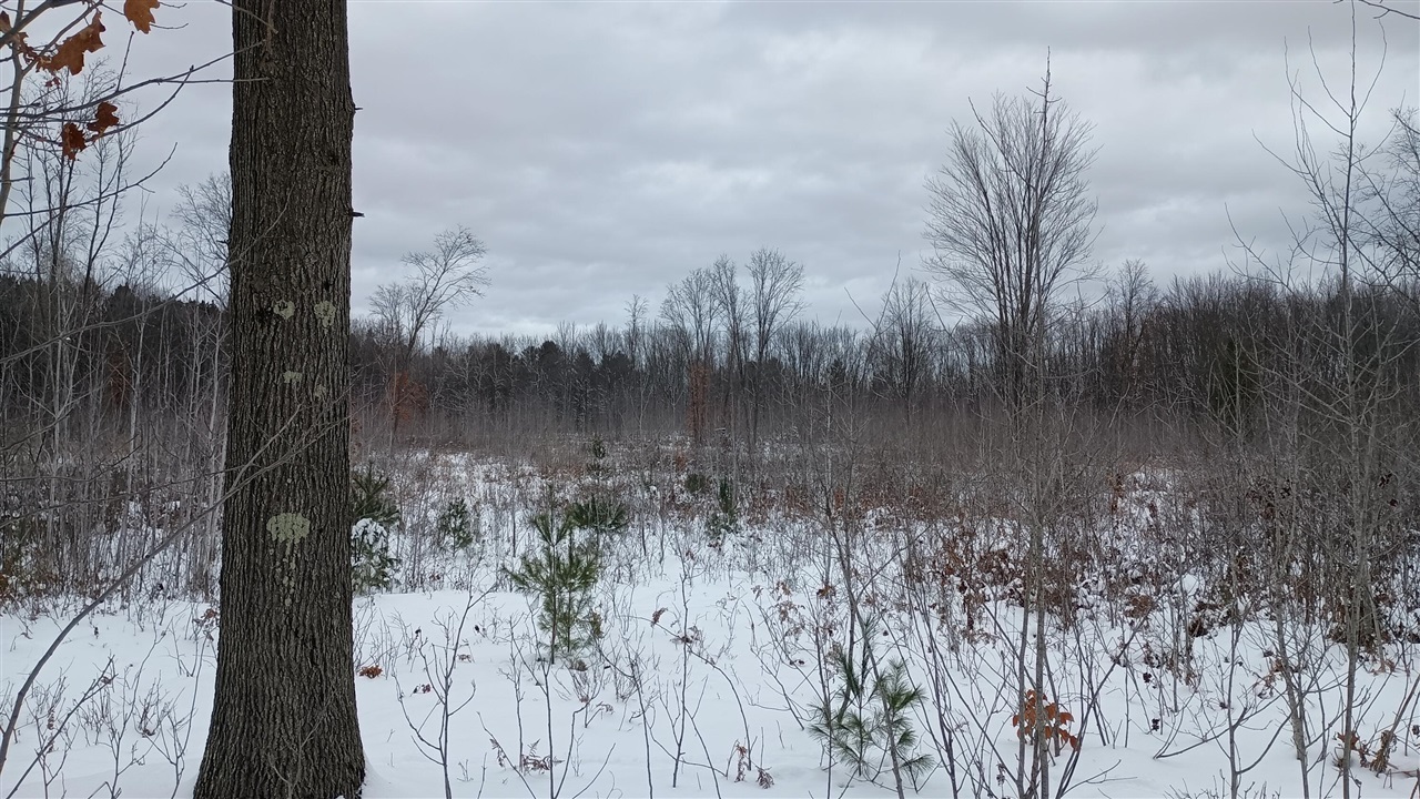 V/L 118A E Townline Road, Free Soil, MI, 49411