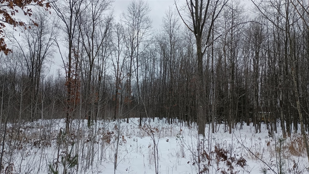 V/L 118A E Townline Road, Free Soil, MI, 49411