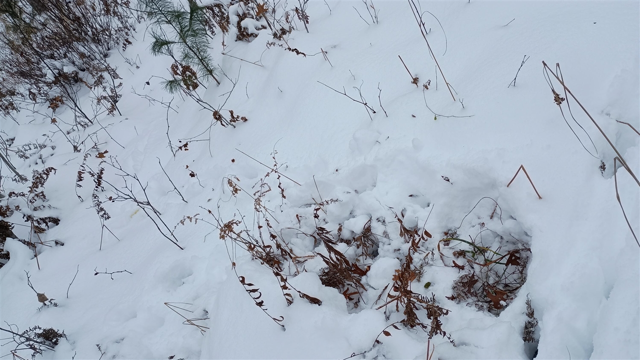 V/L 118A E Townline Road, Free Soil, MI, 49411