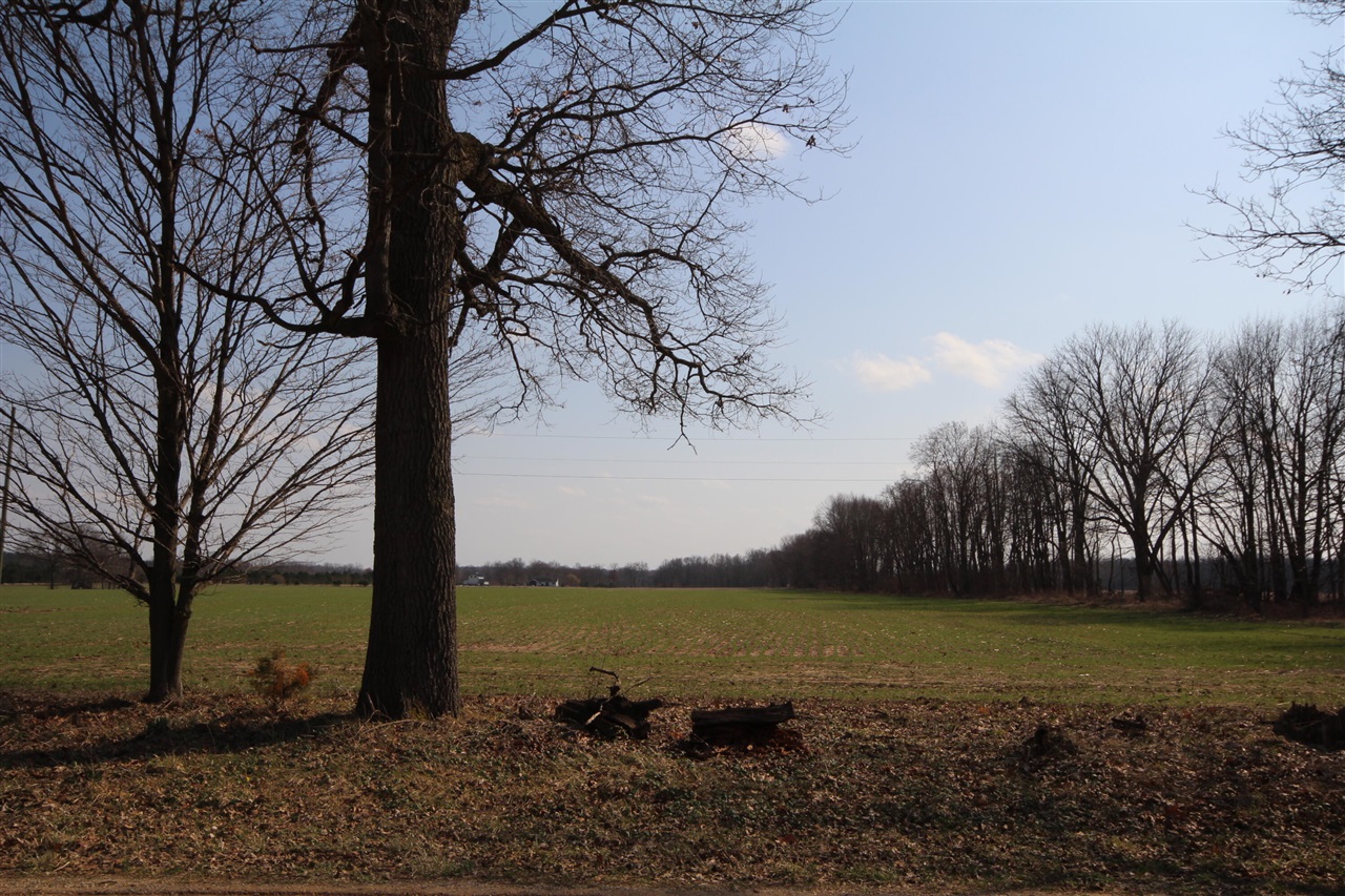 tbd 75.5 Acres Off Co Rd Cf Road, Ishpeming, MI, 49849