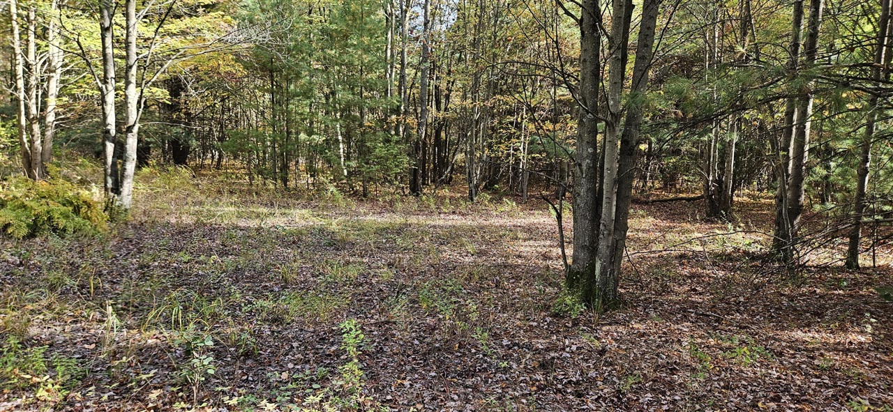 22nd image of 1100 E Bard, Muskegon, MI 49445 | MLS# 70507689