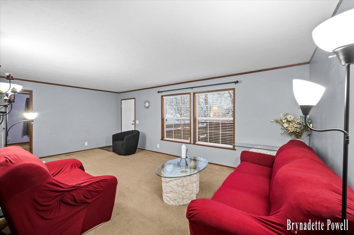 134 N 5th Street, Cedar Springs, MI, 49319