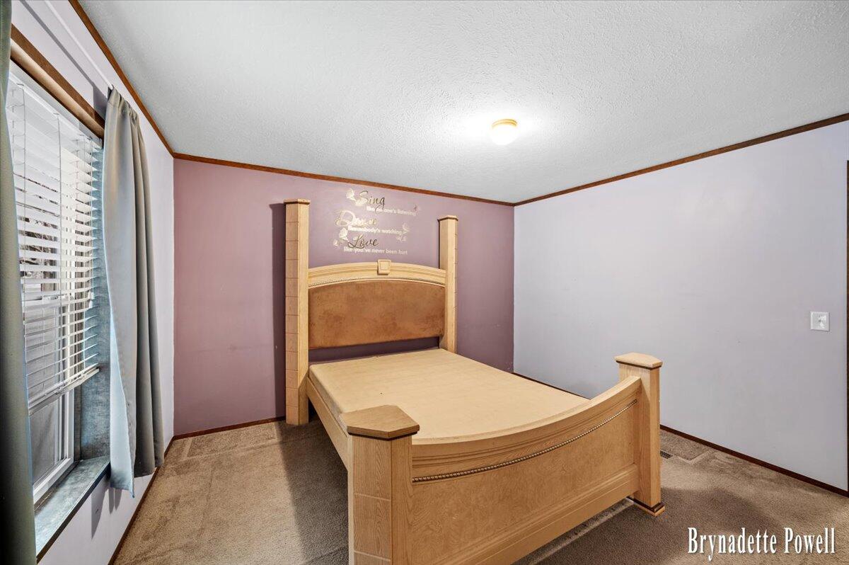 134 N 5th Street, Cedar Springs, MI, 49319