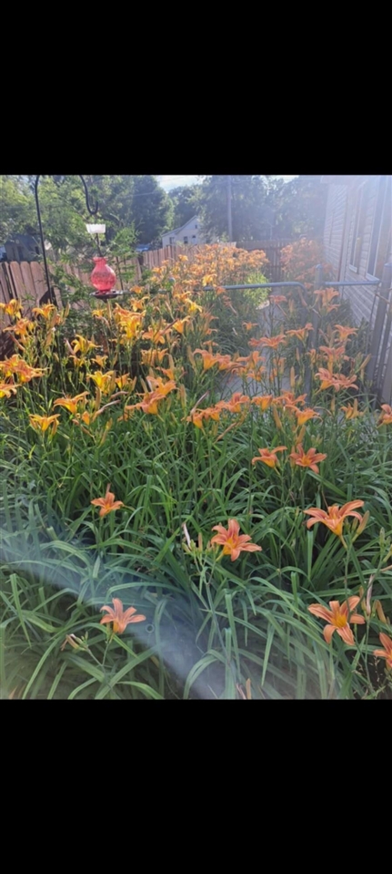 134 N 5th Street, Cedar Springs, MI, 49319