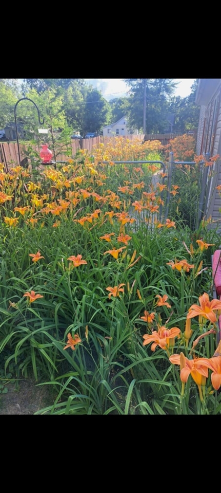 134 N 5th Street, Cedar Springs, MI, 49319