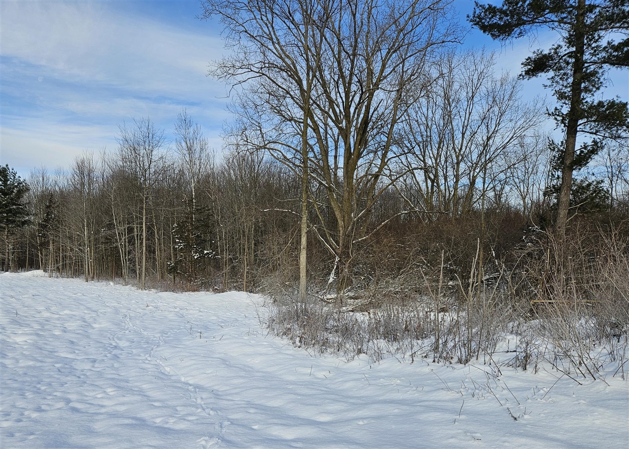 14th Avenue, South Haven, MI, 49090