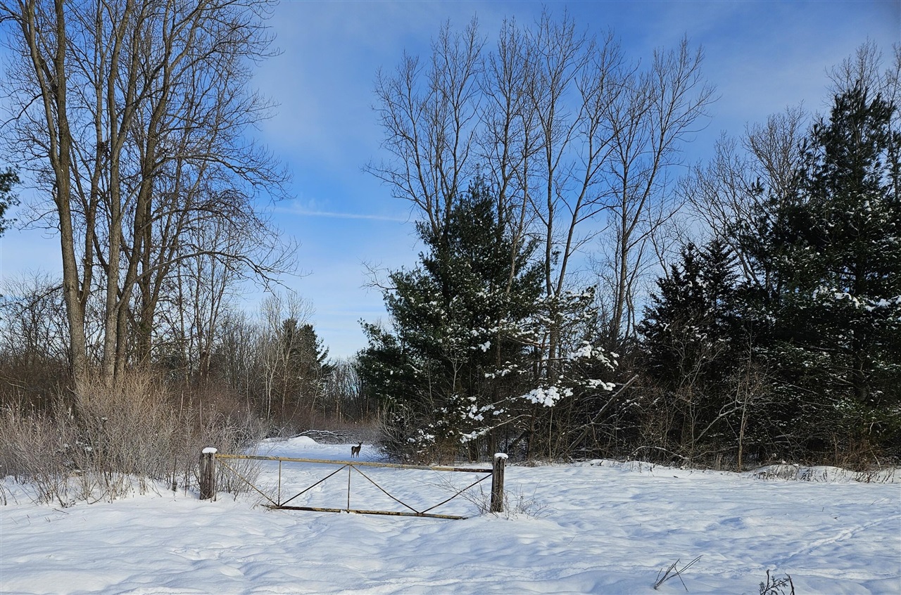 14th Avenue, South Haven, MI, 49090