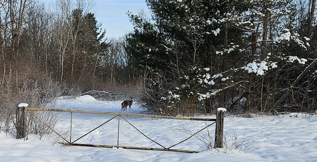 14th Avenue, South Haven, MI, 49090