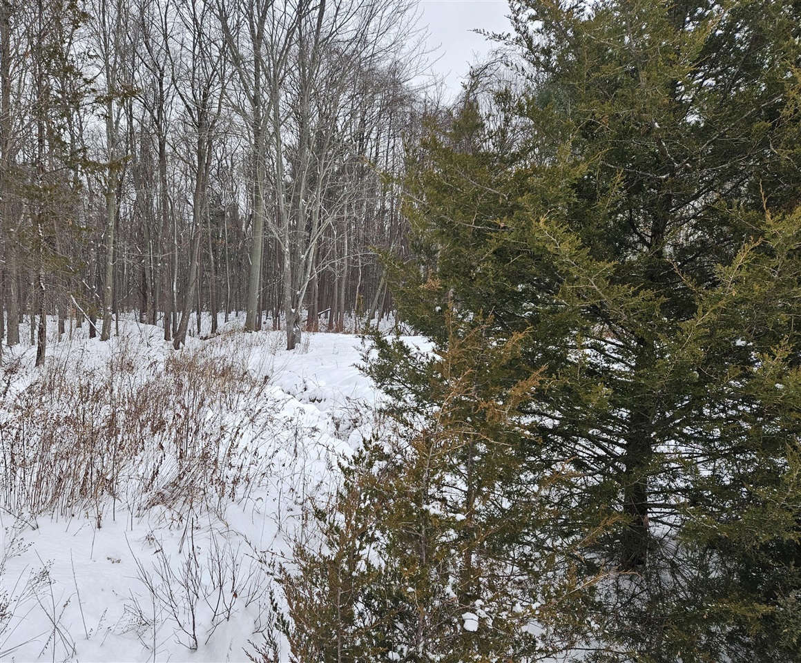 14th Avenue, South Haven, MI, 49090