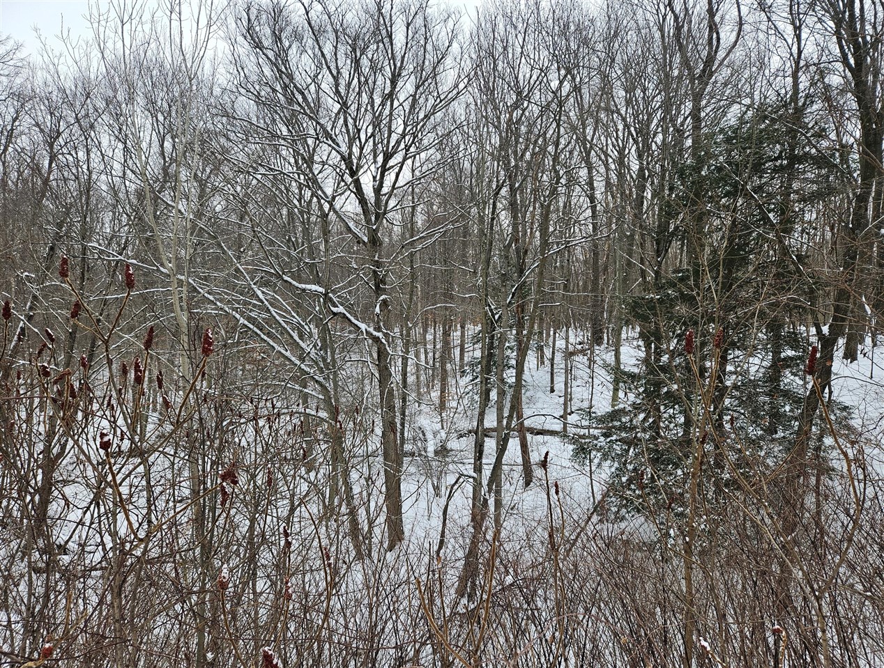 14th Avenue, South Haven, MI, 49090