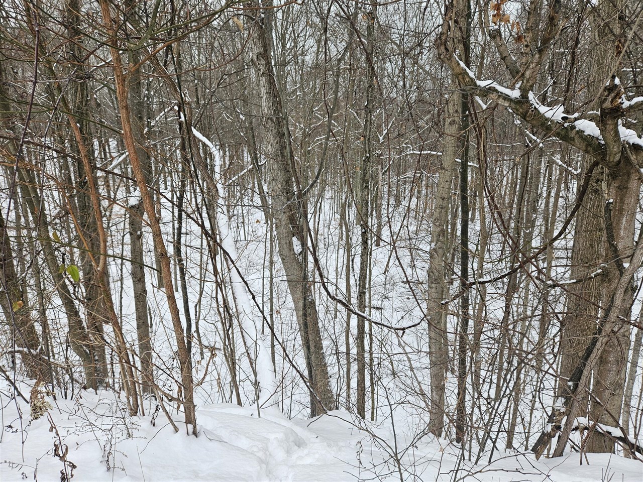 14th Avenue, South Haven, MI, 49090