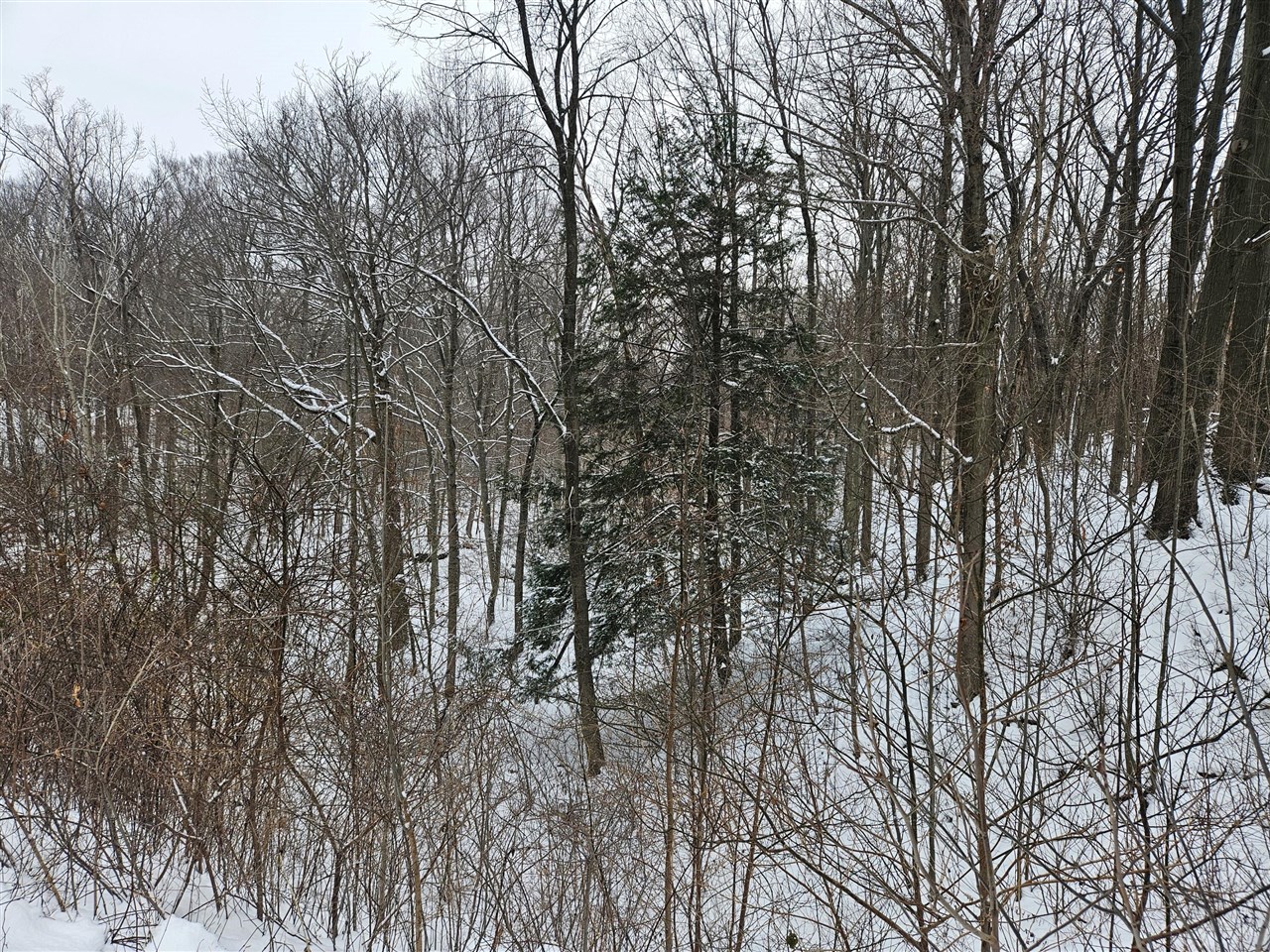 14th Avenue, South Haven, MI, 49090