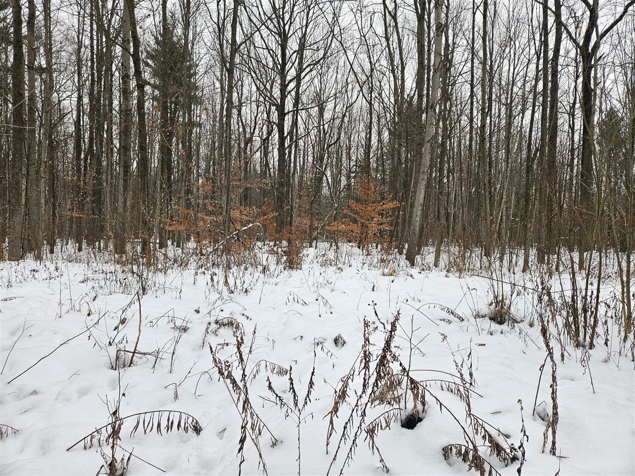 14th Avenue, South Haven, MI, 49090