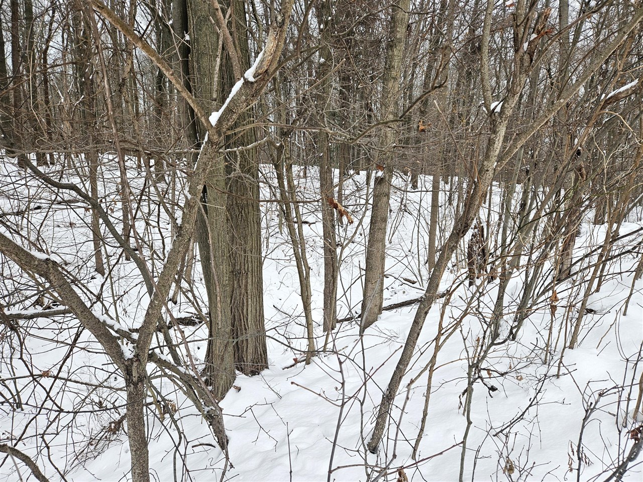 14th Avenue, South Haven, MI, 49090