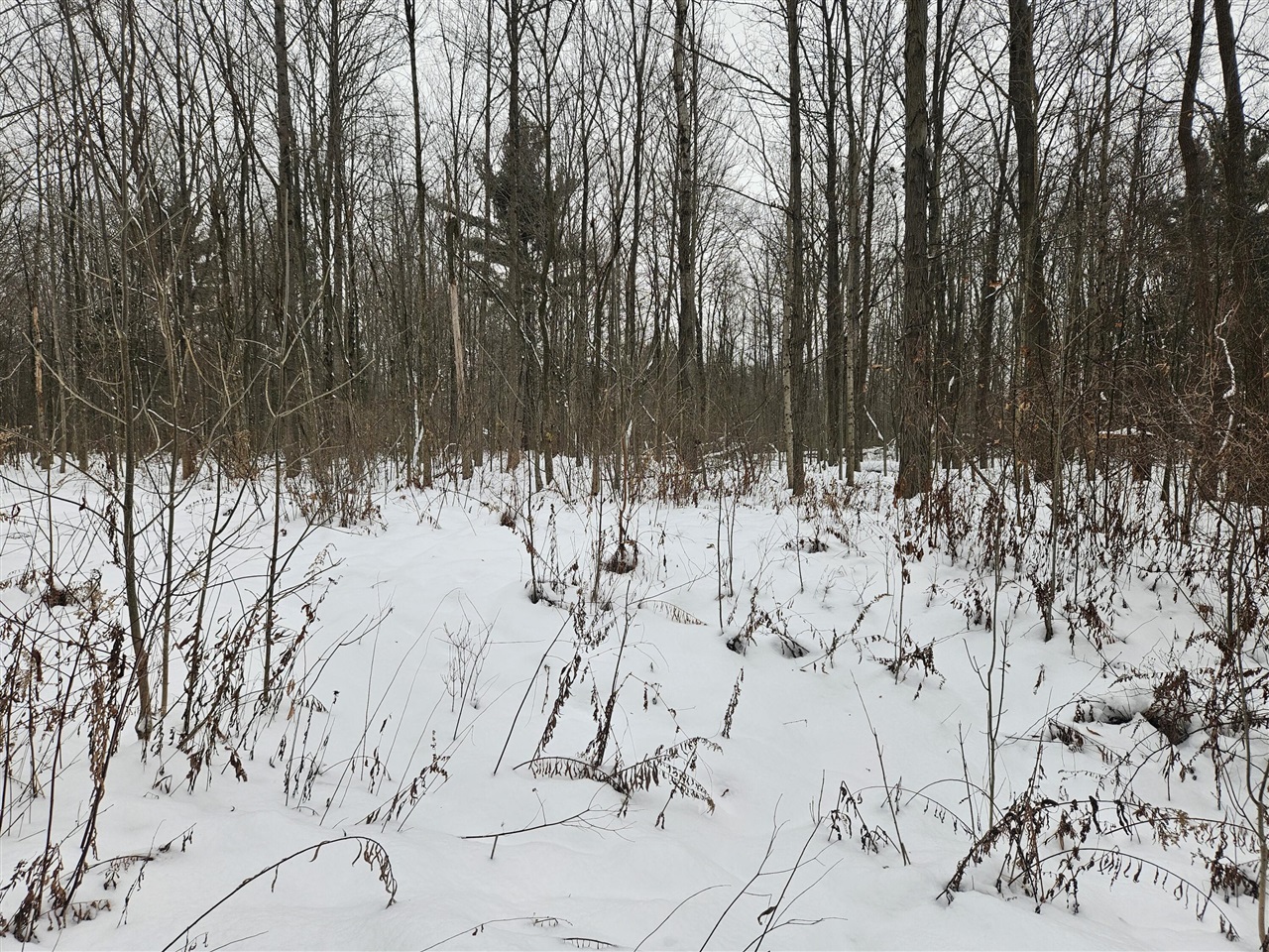 14th Avenue, South Haven, MI, 49090